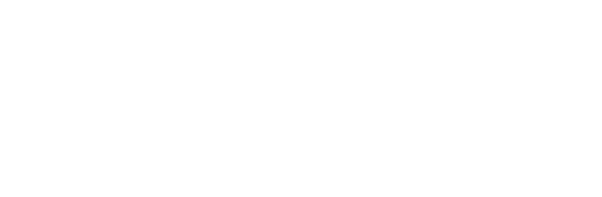 Evolute CX Logo