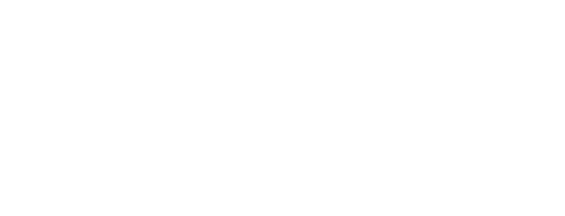 Evosis Logo