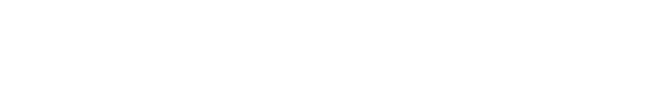 revenue system logo w